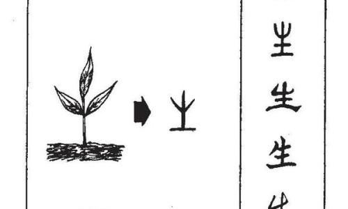 奥美拉唑肠溶片多少钱一盒-奥美拉唑副作用及危害是什么、奥美拉唑肠溶片一次吃几粒 -奥美拉唑?V肠溶片副作用网
