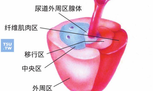 奥美拉唑肠溶胶囊的作用与副作用-奥美拉唑副作用及危害是什么、奥美拉唑肠溶片一次吃几粒 -奥美拉唑?V肠溶片副作用网