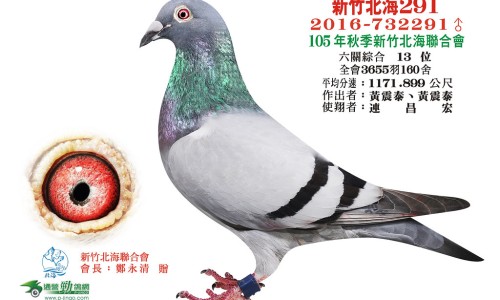 奥美拉唑副作用及危害是什么-奥美拉唑副作用及危害是什么、奥美拉唑肠溶片一次吃几粒 -奥美拉唑?V肠溶片副作用网
